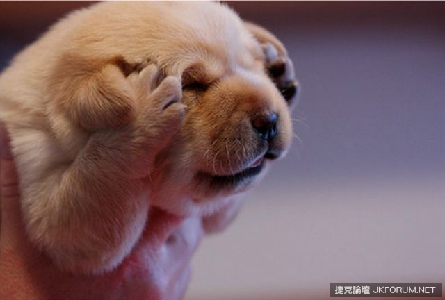 【WPT扑克】老是忘東忘西？英國神經學專家教你如何再生腦細胞 戰勝健忘、改善情緒