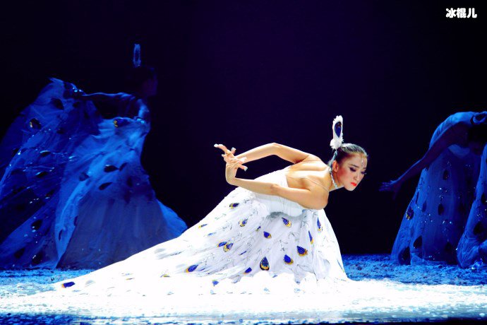 【WPT扑克】批判杨丽萍不生孩子就是失败，过激言论遭到网友正义批判