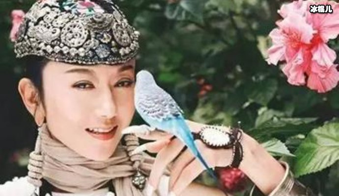 【WPT扑克】杨丽萍回应未生子：我认为的幸福就是舞蹈