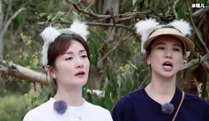 【WPT扑克】袁咏仪看到李敏镐照片激动狂欢，网友笑称：不愧是粉头我靓姐！