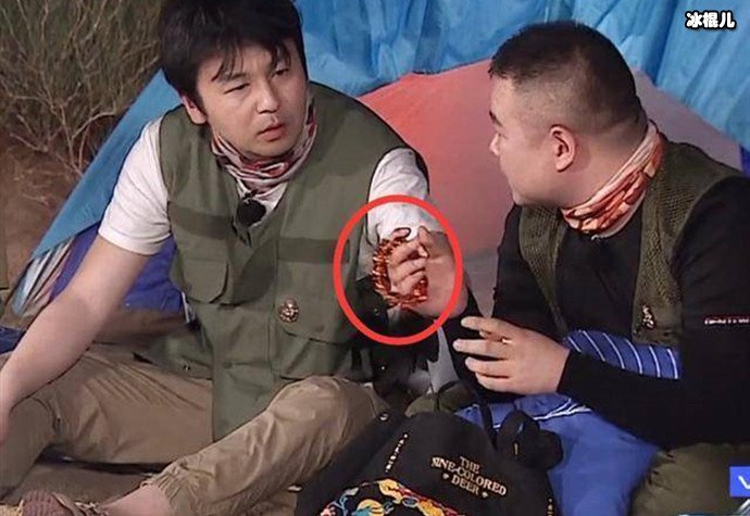 【WPT扑克】岳云鹏不喜欢文玩，一个手串却带了10年，仔细一看太珍贵了