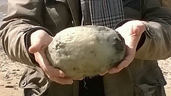 【WPT扑克】這個嘔吐物超金貴！價值上億春藥原料被他拾獲（送禮自用兩相宜～