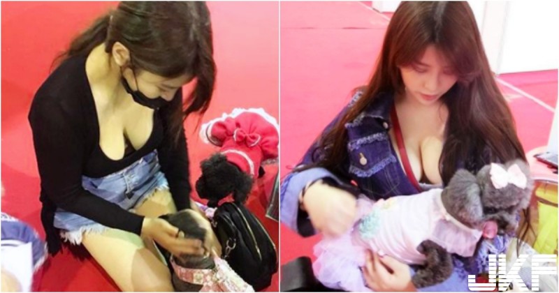 【WPT扑克】寵物展上驚見「低胸巨乳妹」！渾圓雪白的大型長輩露出來啦！好想當她的狗啊…