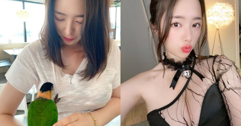 【WPT扑克】鸚鵡都忍不住討奶吃！南韓「巨乳正妹」BITNARA餐廳逗鳥，飽滿上圍慘遭攻擊！