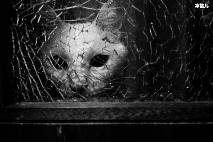 【WPT扑克】窥探大结局什么意思？窥探韩剧男主是好人吗？