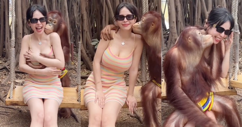 【WPT扑克】巨乳姊姊「香菱」慘遭猴子襲胸！H杯雙球被捧抓，問粉絲：可以告嗎