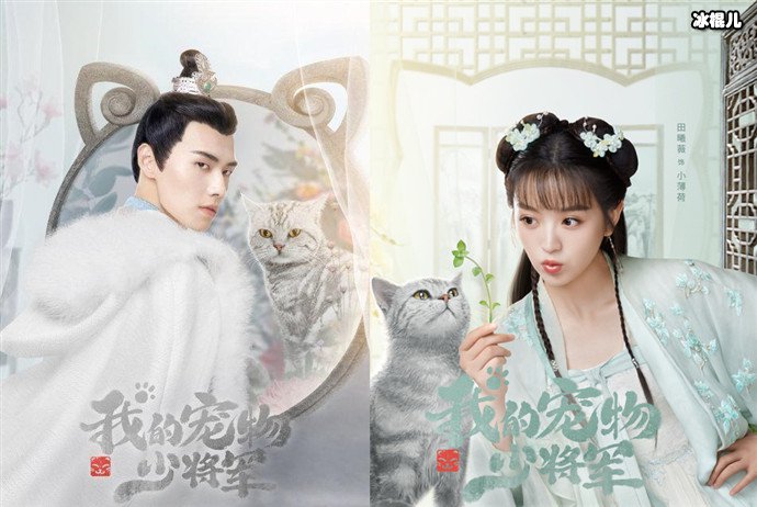 【WPT扑克】我的宠物少将军讲什么故事? 这部甜宠剧为何口碑这么好