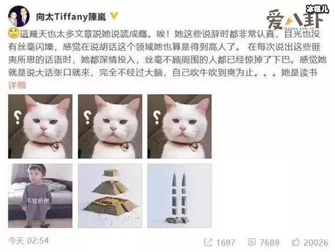 【WPT扑克】张柏芝谢霆锋王菲是什么关系？ 为什么张柏芝老爱撒谎