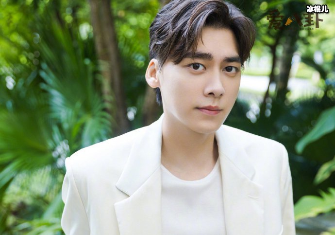 【WPT扑克】李易峰交通逃逸事件,李易峰逃逸是为了不追究法律责任吗