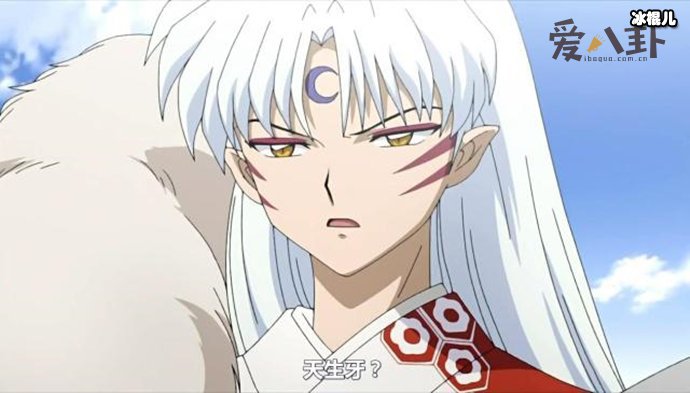 【WPT扑克】杀生丸喜欢谁？神乐和小玲谁是官配