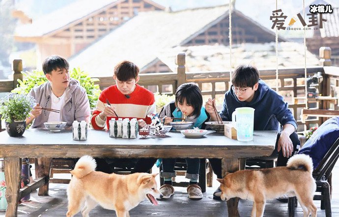 【WPT扑克】向往的生活5即将开始录制， 常驻嘉宾还是原班人马吗