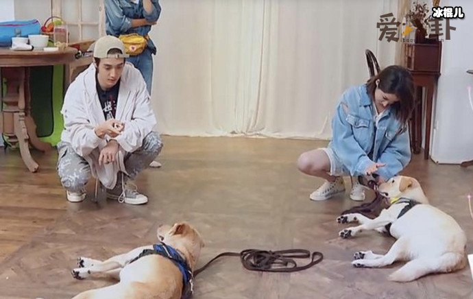 【WPT扑克】萧亚轩被狗咬伤脸部, 疑似与男友在家互殴