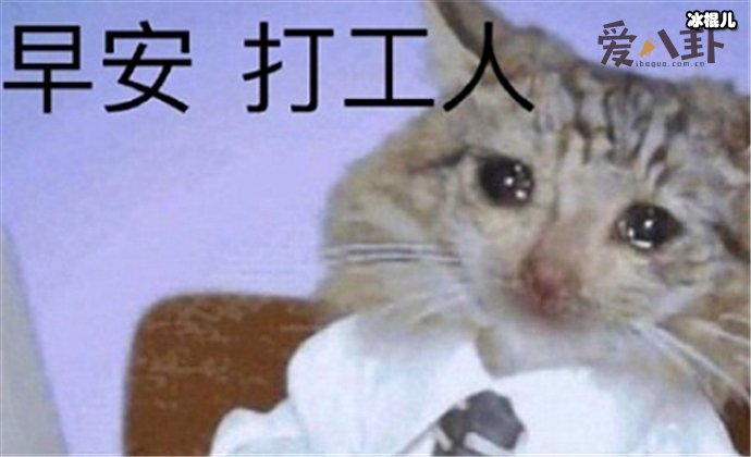 【WPT扑克】打工人是什么梗, 起底其意思及出处