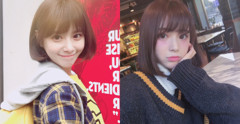 【WPT扑克】連證件照都美翻！超萌「犬系妹子」顏值太高　水汪汪大眼電力超強！