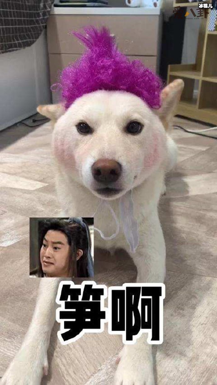 【WPT扑克】陈比方是什么梗,原来比方妈妈早就是一位网红