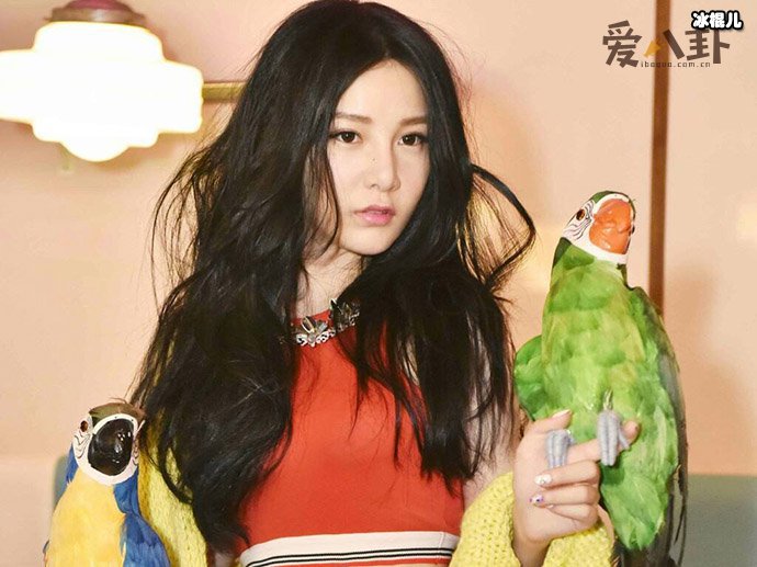 【WPT扑克】本兮男友小E是赵越前吗？ 起底其个人资料他现任是谁