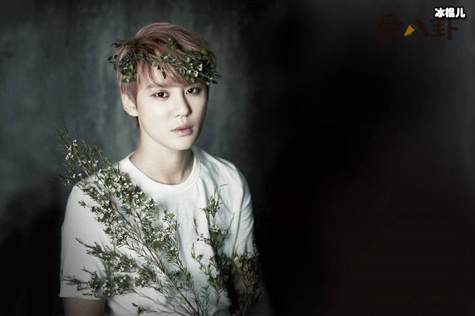 【WPT扑克】金俊秀女友是谁？和HaNi恋爱不到一年就分手这是为何？