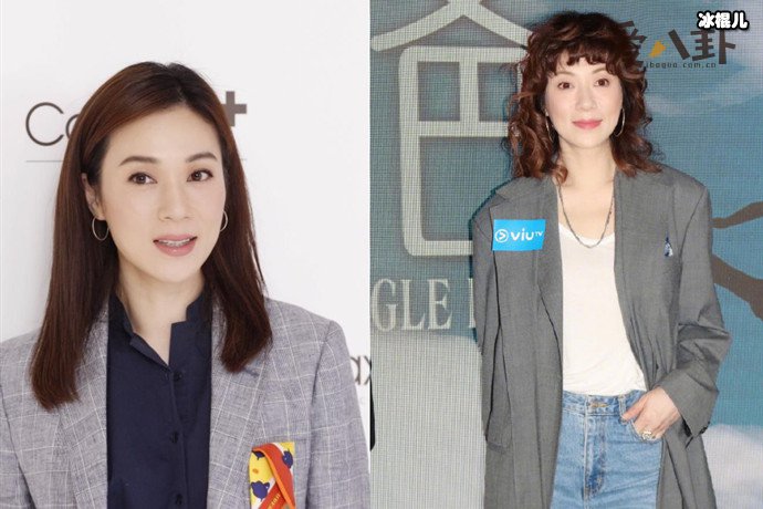 【WPT扑克】张可颐结婚了没有, 50岁的张可颐单身至今情路坎坷令人心疼