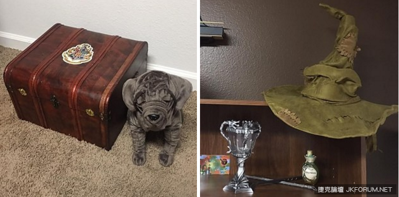 【WPT扑克】英父母特製「哈利波特」主題嬰兒房