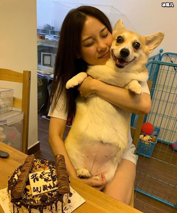 【WPT扑克】张致恒塔房是怎么回事？其未婚妻如何回应！