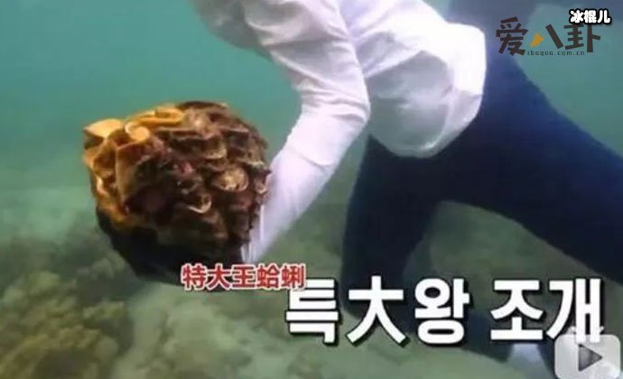 【WPT扑克】李烈音或被判5年, 因节目或成最惨女嘉宾