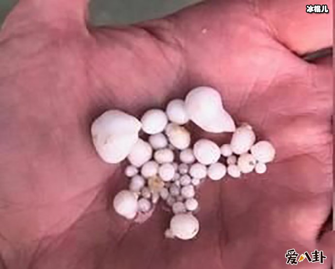 【WPT扑克】发现赚钱机密吃生蚝吐48颗！得知真相却被狠狠打脸！