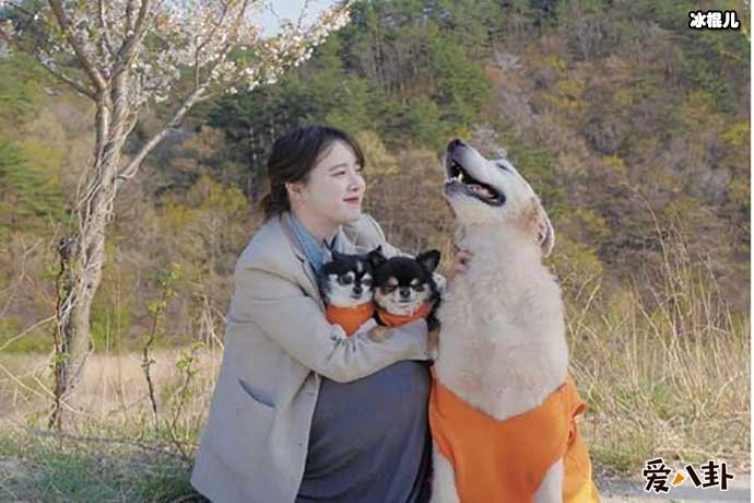 【WPT扑克】具惠善将隐退？为何与安宰贤的婚姻如此短暂？