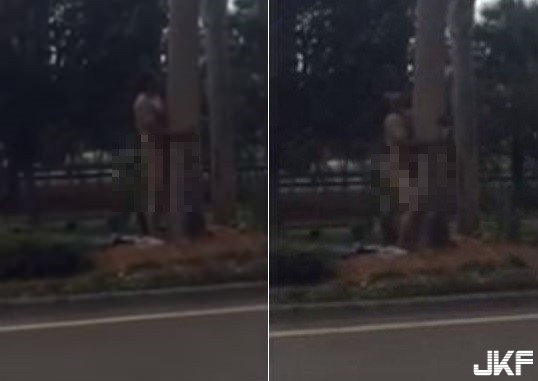 【WPT扑克】人樹交！美男全裸抱樹幹　雙腳夾緊前後擺動嚇壞路人