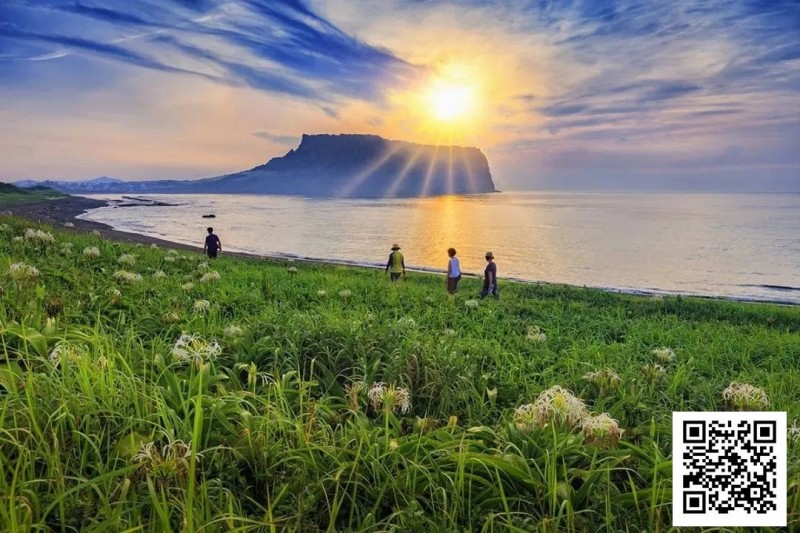 【WPT扑克】别Till，来Jeju Chill——必去景点+路线打包+管家制定