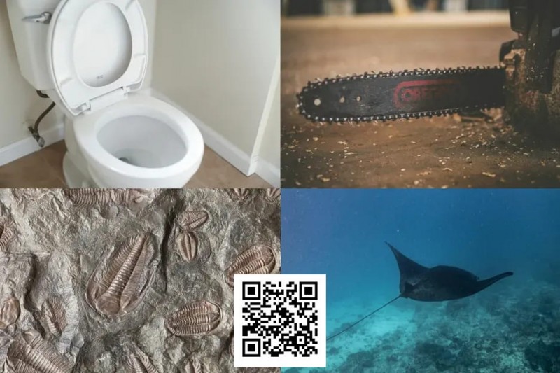 【WPT扑克】扑克界谁的绰号最炸裂：电锯、魔鬼鱼、石化人、马桶？