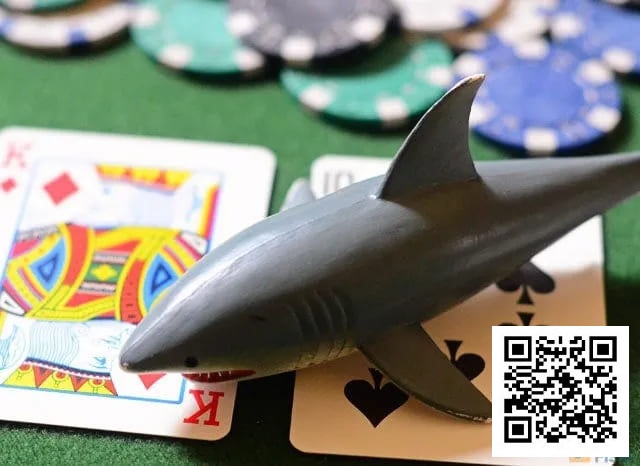 【WPT扑克】德州扑克低级别盈利指南，学会你就是小鲨鱼
